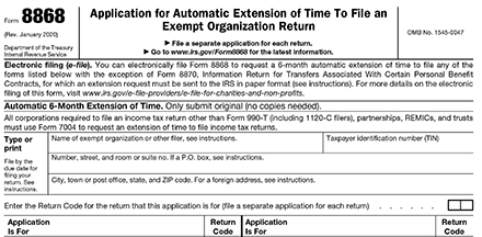 File Form 8868